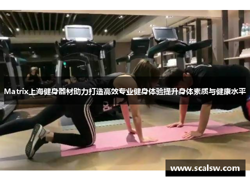 Matrix上海健身器材助力打造高效专业健身体验提升身体素质与健康水平