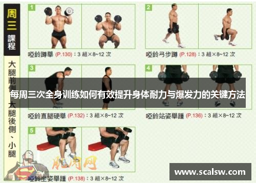 每周三次全身训练如何有效提升身体耐力与爆发力的关键方法