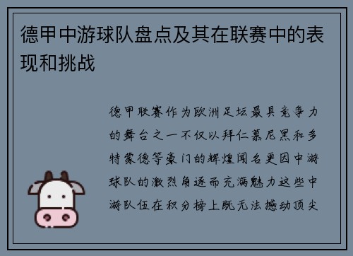 德甲中游球队盘点及其在联赛中的表现和挑战