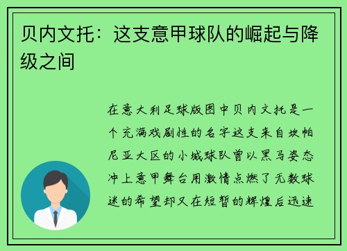 贝内文托：这支意甲球队的崛起与降级之间
